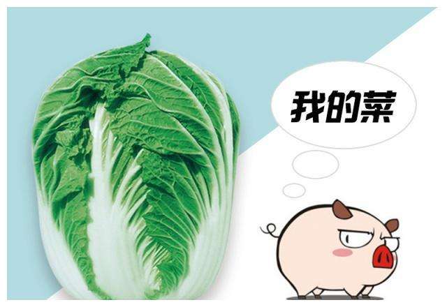 白菜的儲(chǔ)存方法